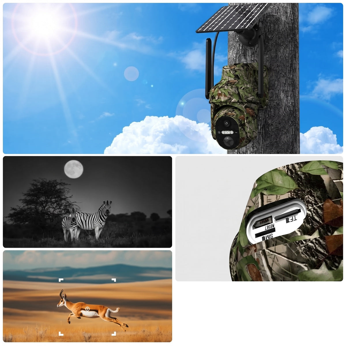 Camera de Chasse 4G Solaire Camouflage | APEX SIGHT 4G